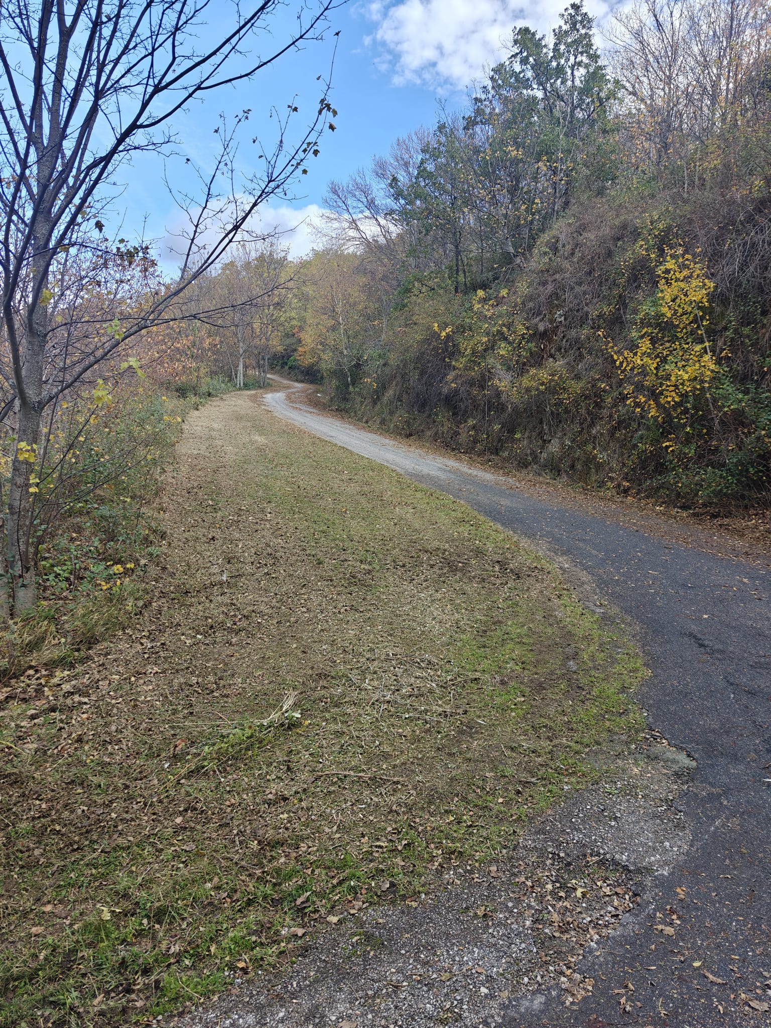 Desbroce en la carretera de Carracedo de Compludo.