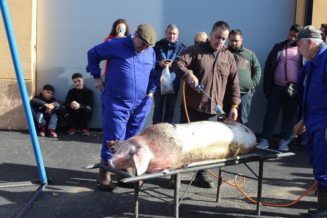Puebla de Lillo tira de tradición con la celebración de sus jornadas de la matanza.