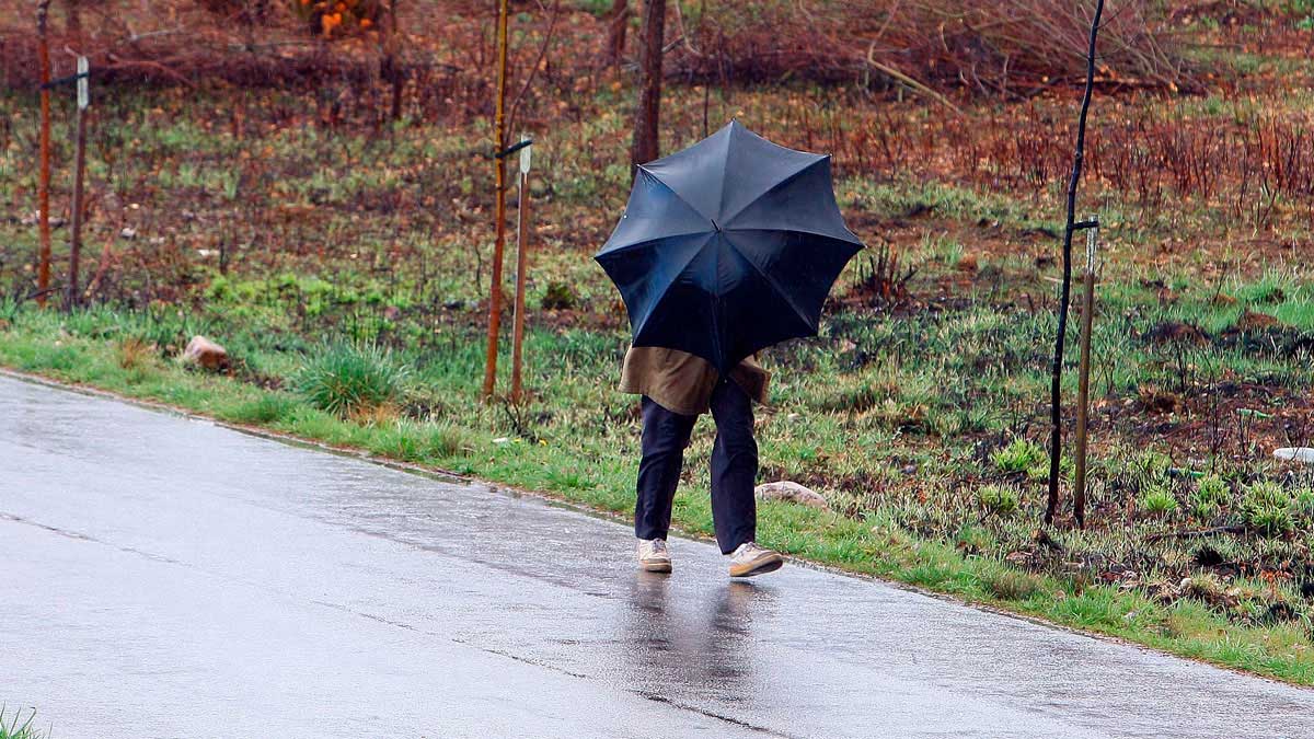 La Aaemet prevé fuertes rachas de viento en la provincia de León. | L.N.C.