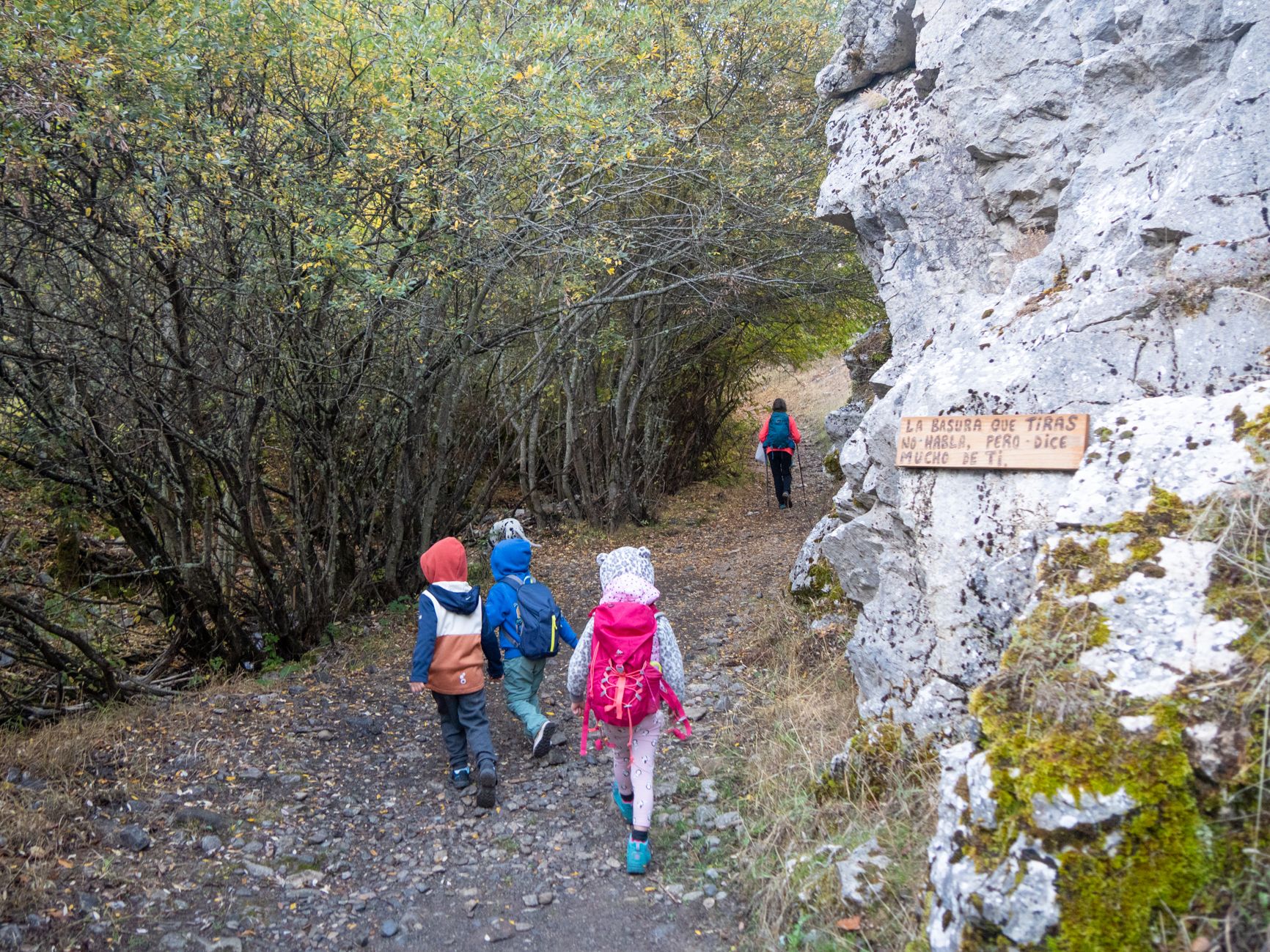 El camino es amplio y cuesta arriba.  VICENTE GARCÍA