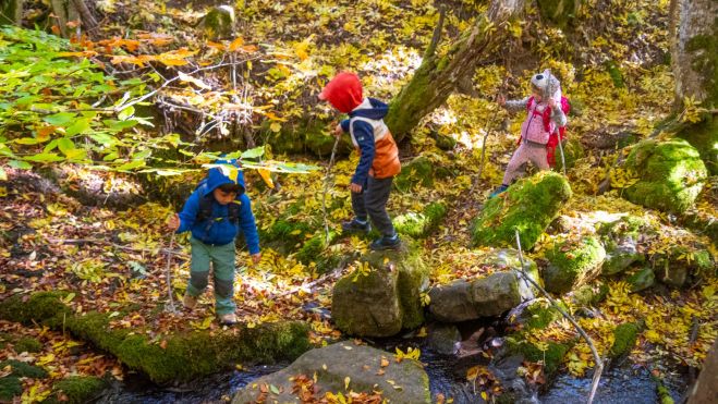 03 Se cruza varias veces el arroyo 03 Se cruza varias veces el arroyo