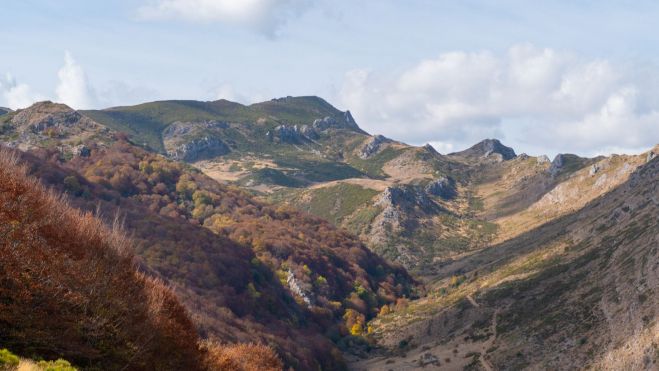 11 El valledel Pedroso y el Cerro Pedroso al fondo 11 El valledel Pedroso y el Cerro Pedroso al fondo