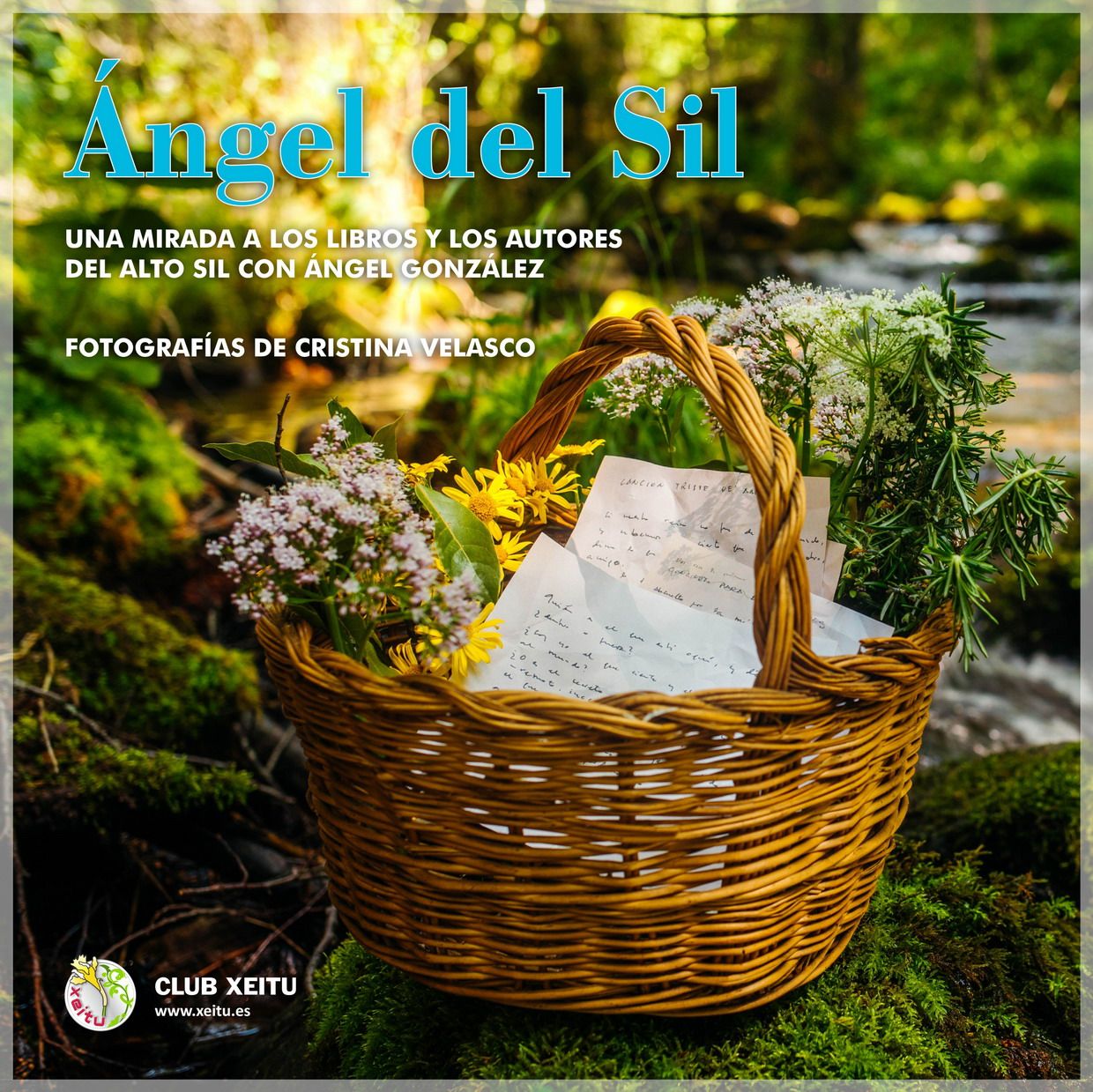 Cubierta del libro Ángel del Sil.