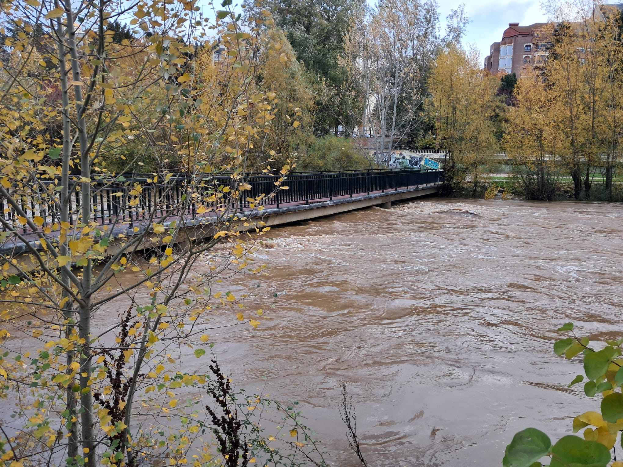 El agua, cerca de cubrir la pasarela sobre el Bernesga. 