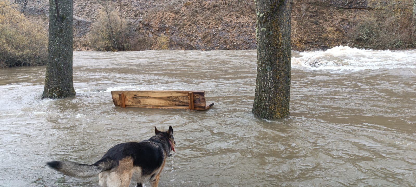 WhatsApp Image 2025 11 14 at 18.52.37 (1)