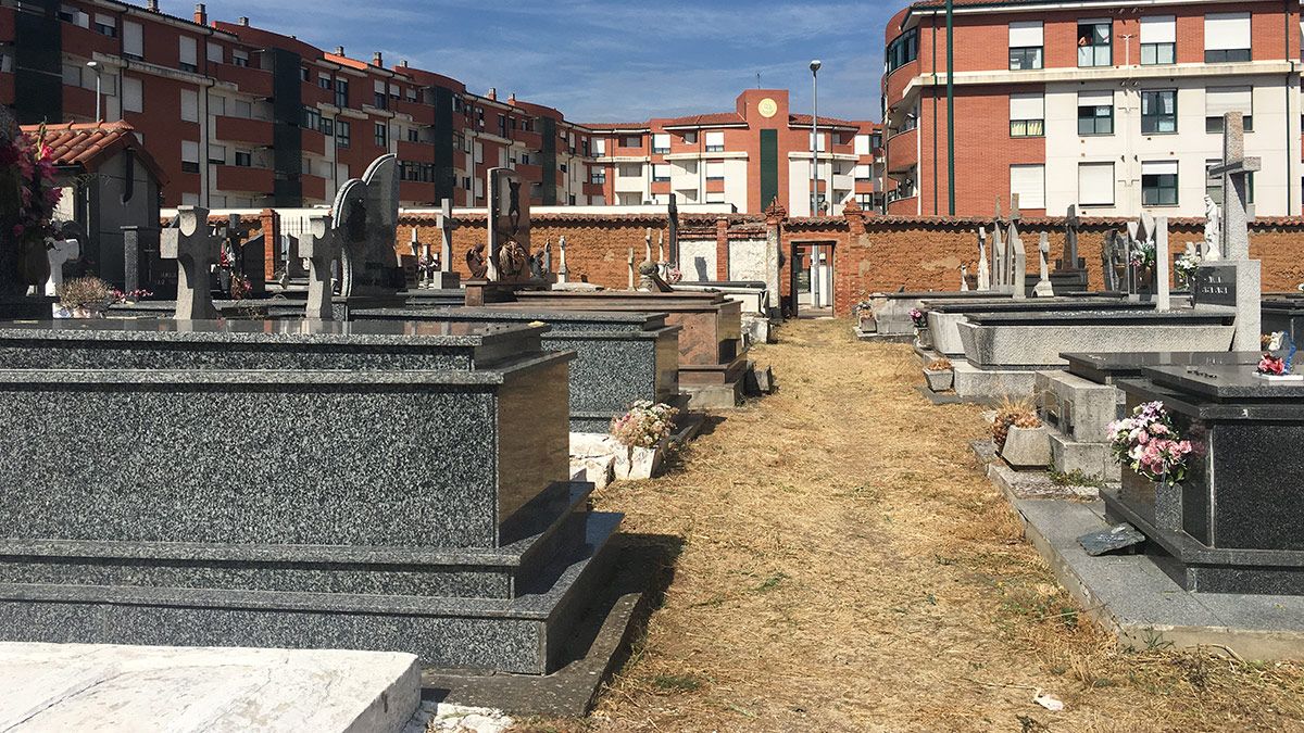 Estado actual del cementerio de San Andrés del Rabanedo. | L.N.C.