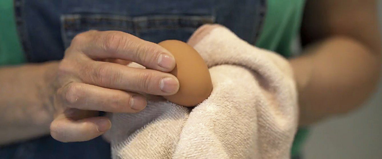 Nafardela es la primera y casi única granja de gallinas que producen huevos ecológicos. | NAFARDELA