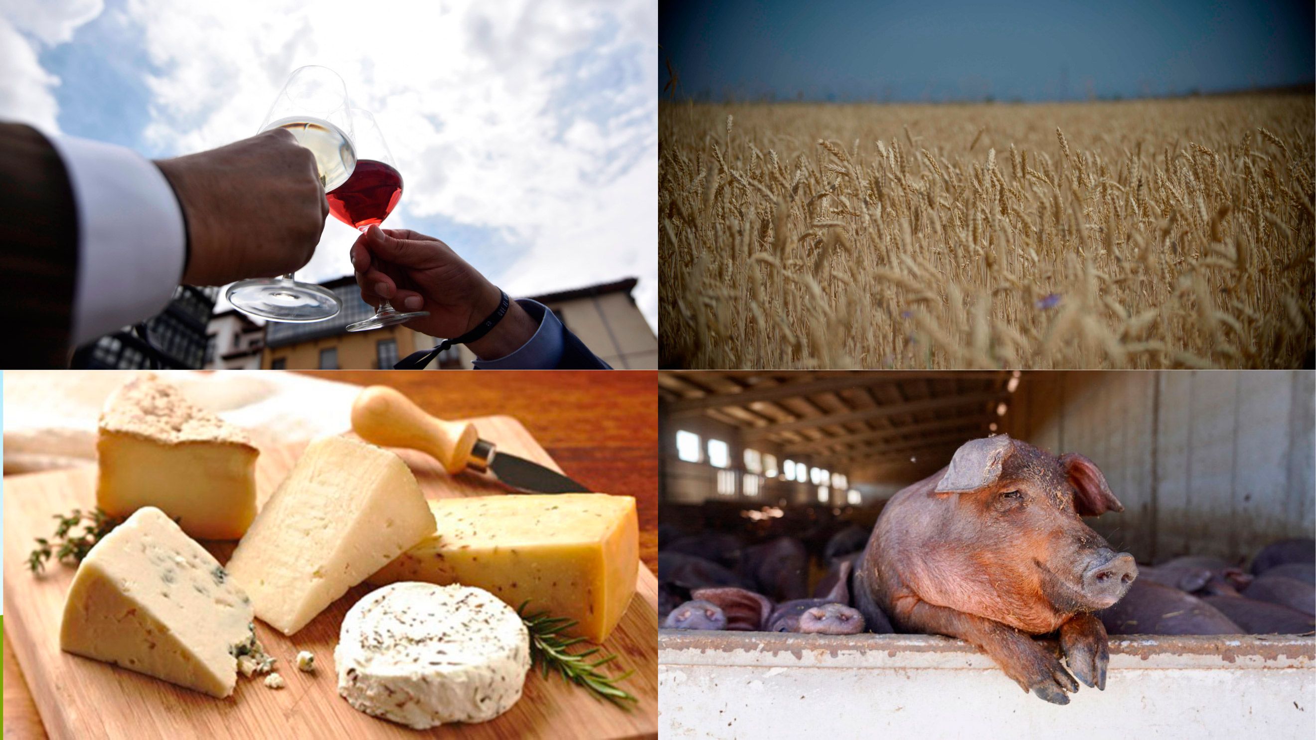 El buen comportamiento del vino, la leche y el queso no logra compensar la caída de ventas de cereales y carne al mercado exterior. | L.N.C. / ICAL