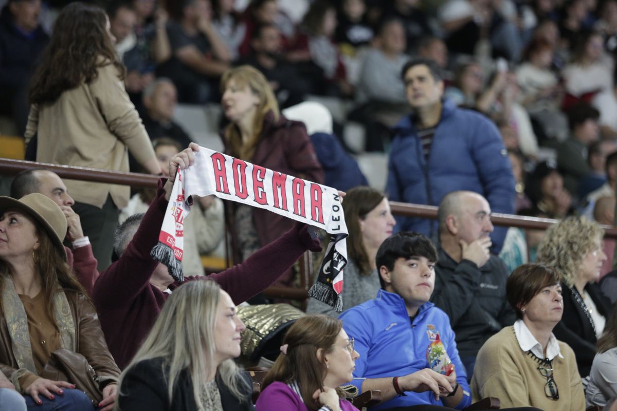 Imagen de archivo de la grada del Ademar. | L.N.C.