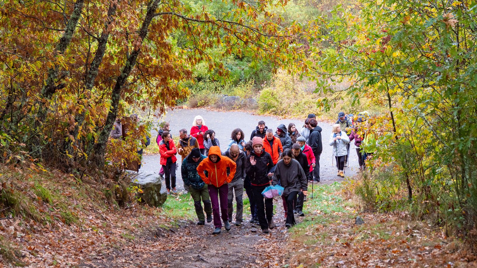 Subida por el camino al mirador. | VICENTE GARCÍA