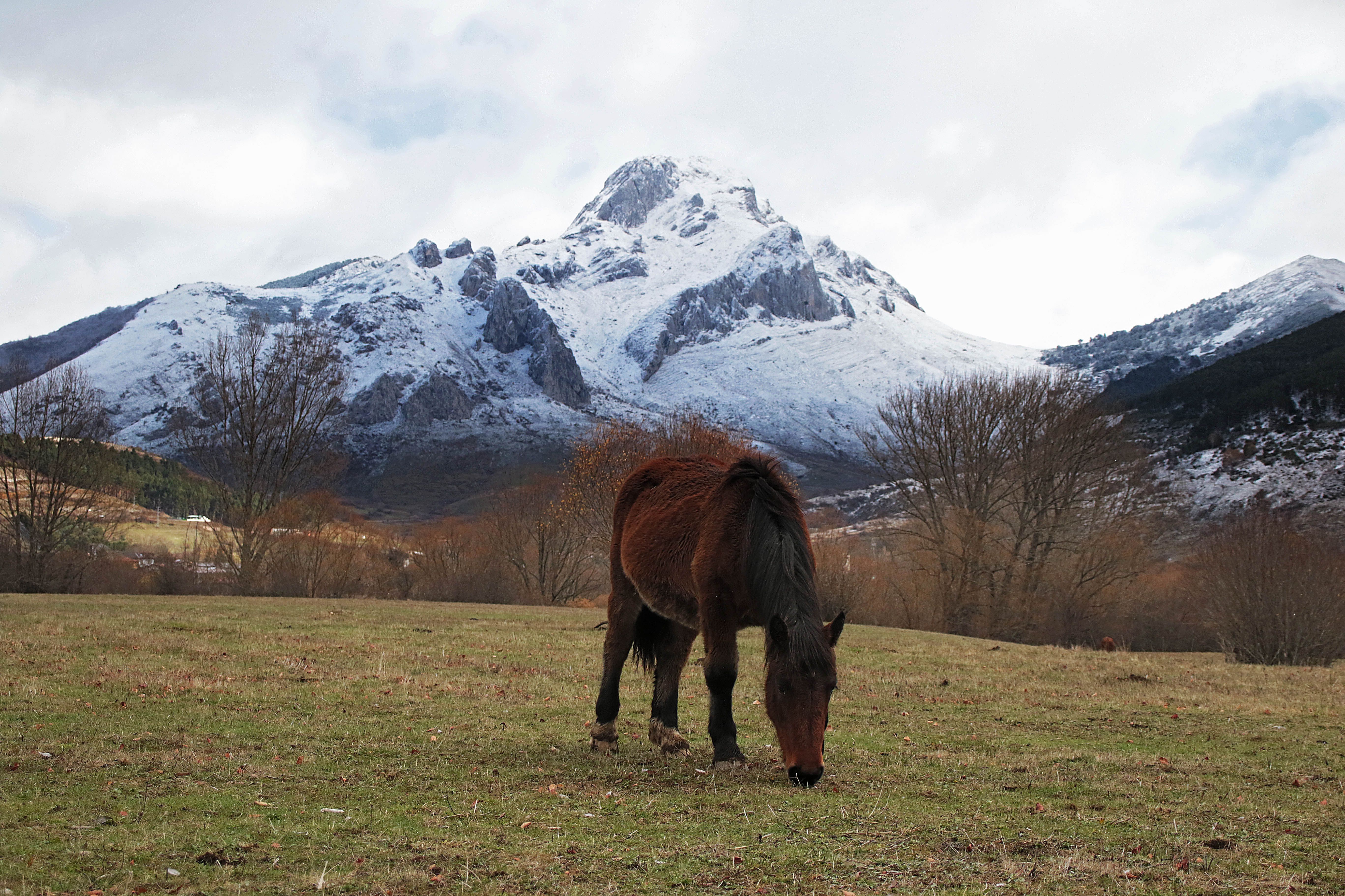 Las primeras nieves en los Argüellos (4)