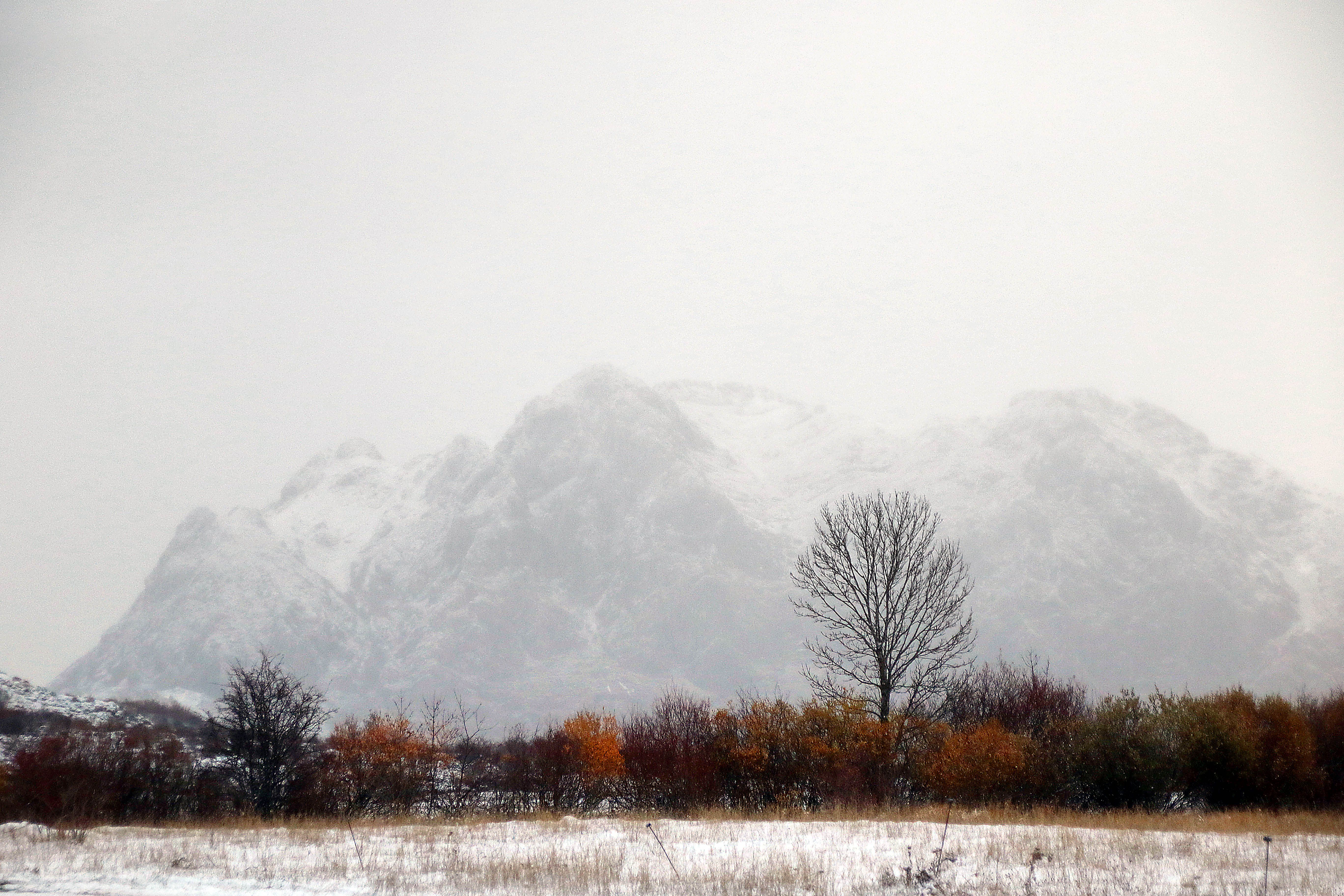 Las primeras nieves en los Argüellos (2)