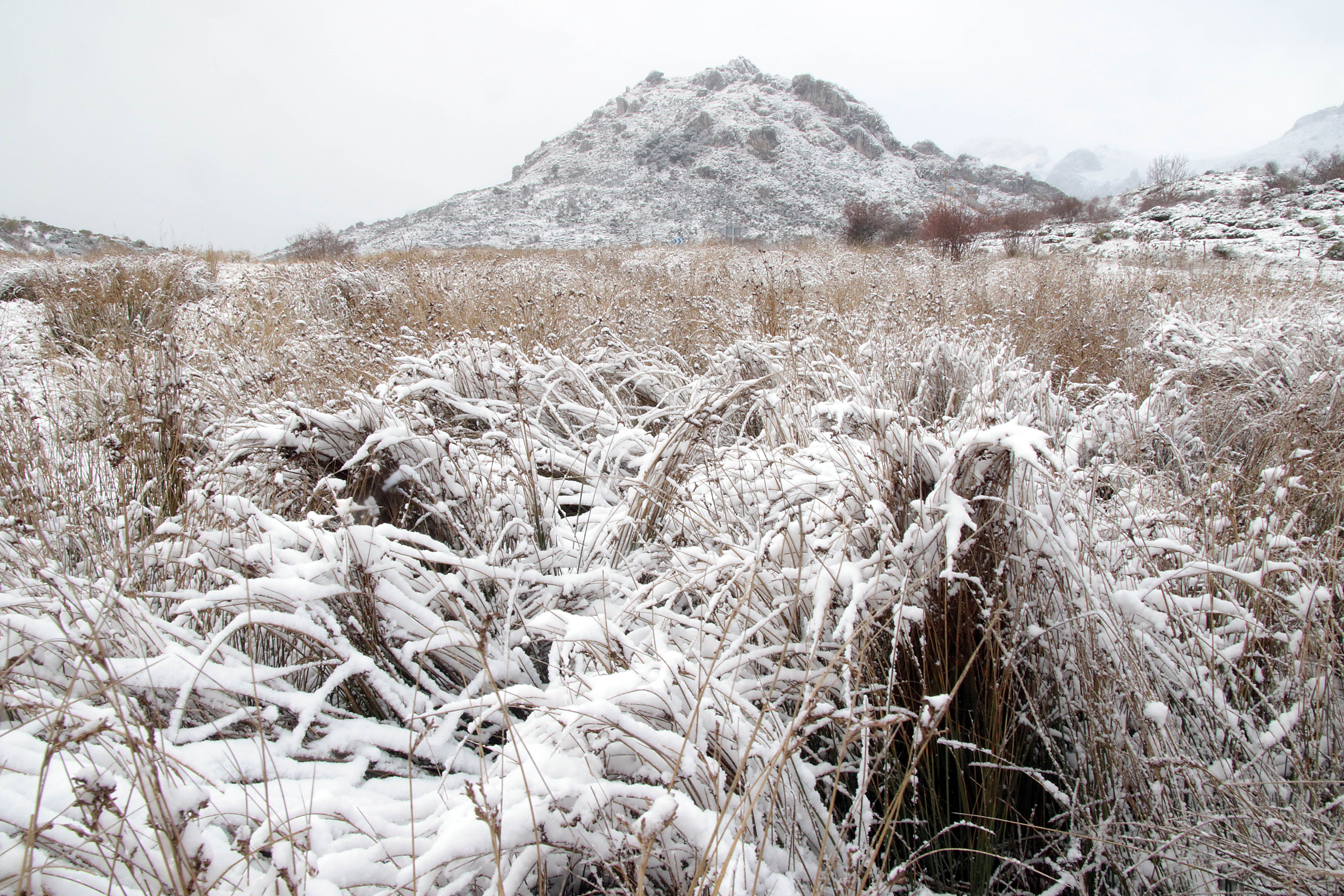 Las primeras nieves en los Argüellos (3)