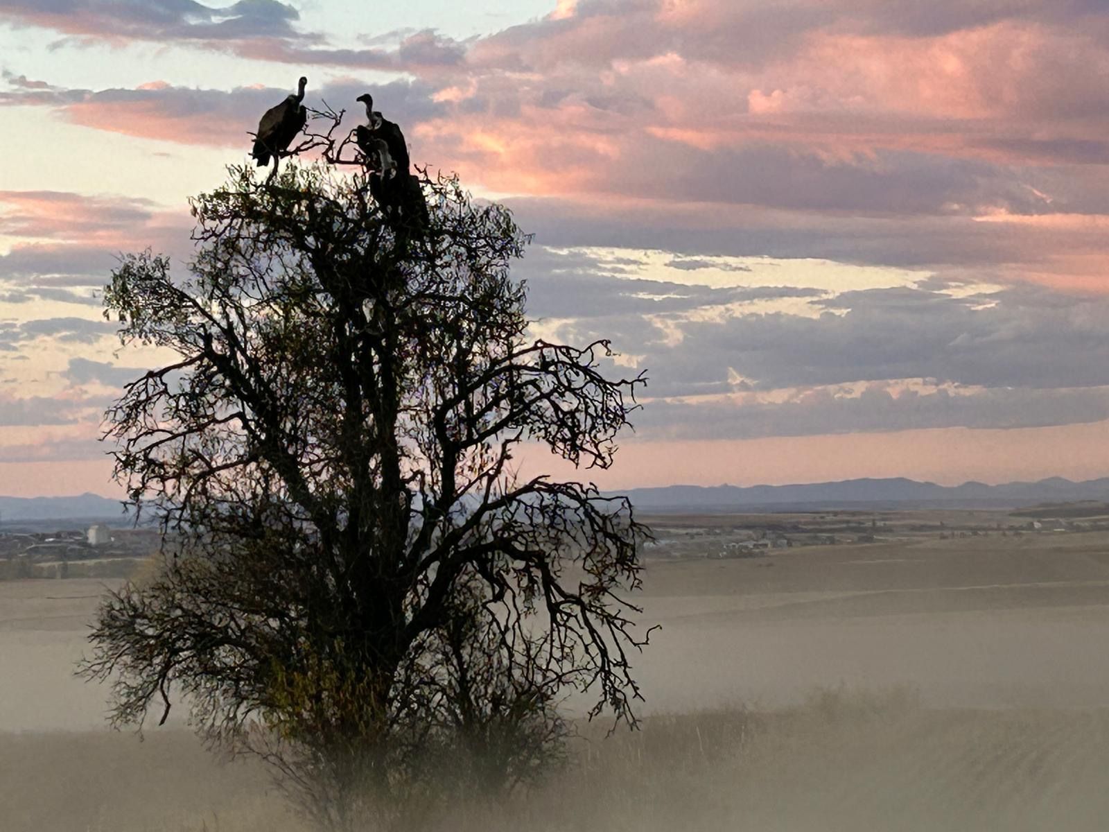 f1d5dddb 31d4 48c5 a340 36c3b47073a9