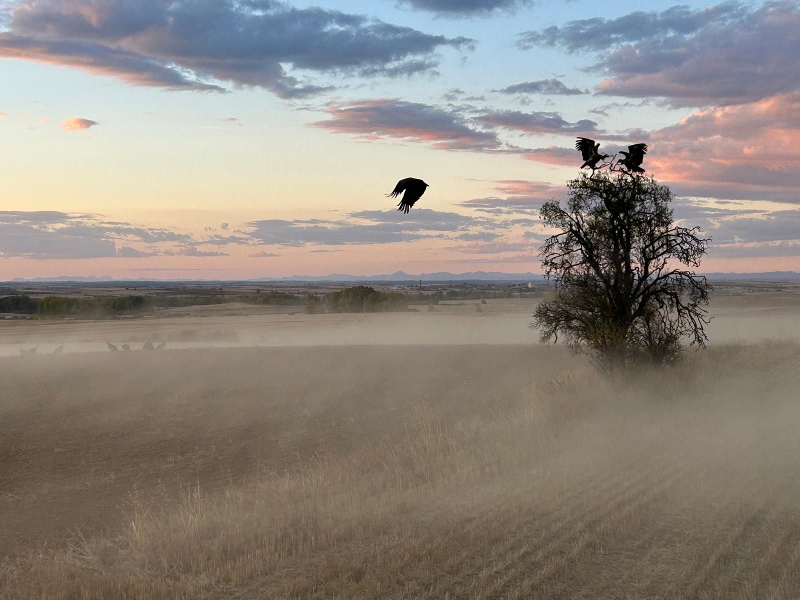 f82f3ec7 9422 420a aa22 078a3e2aed35