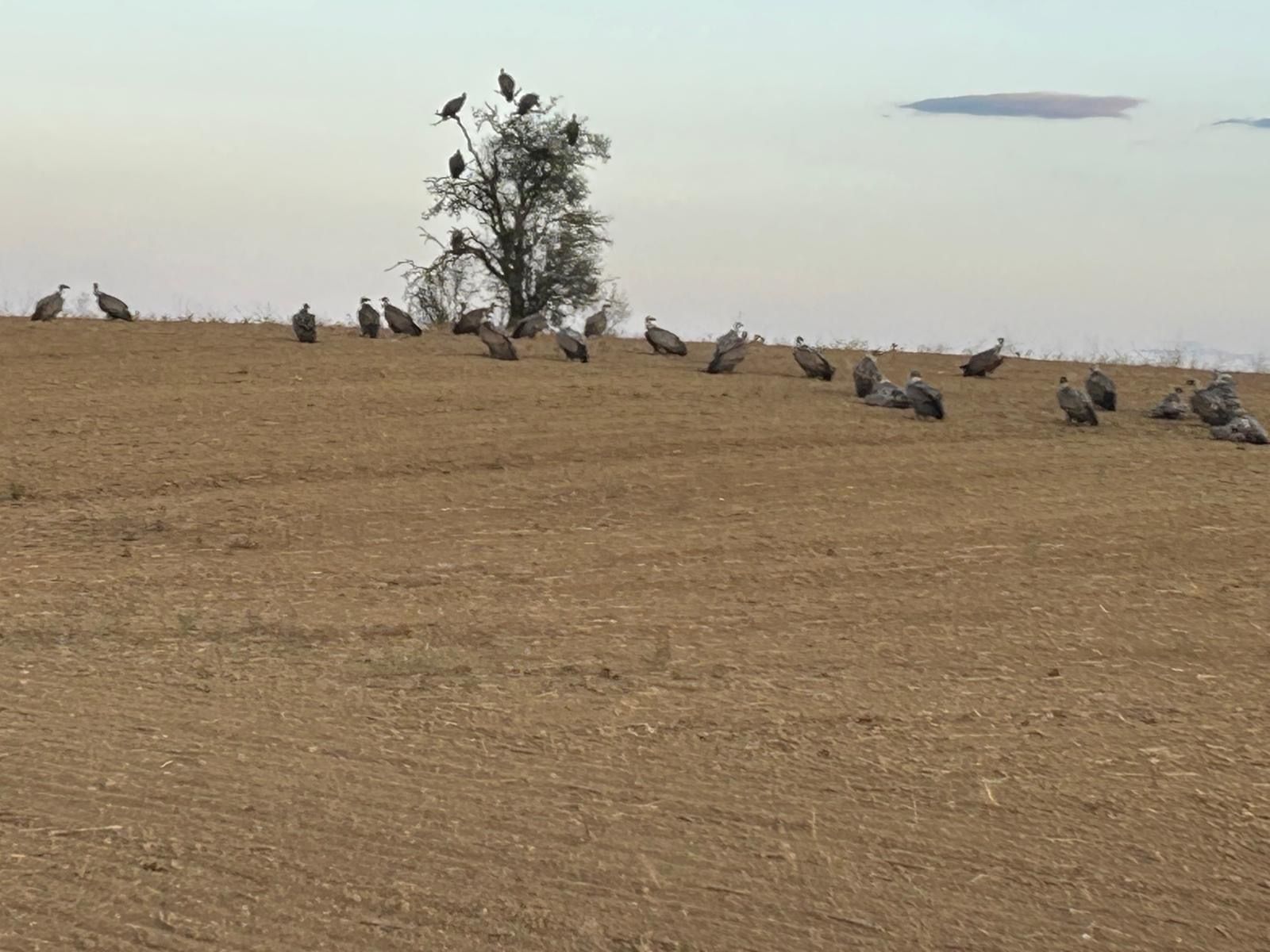 eeff62b1 de84 4fc9 98d0 777bb5360a9a