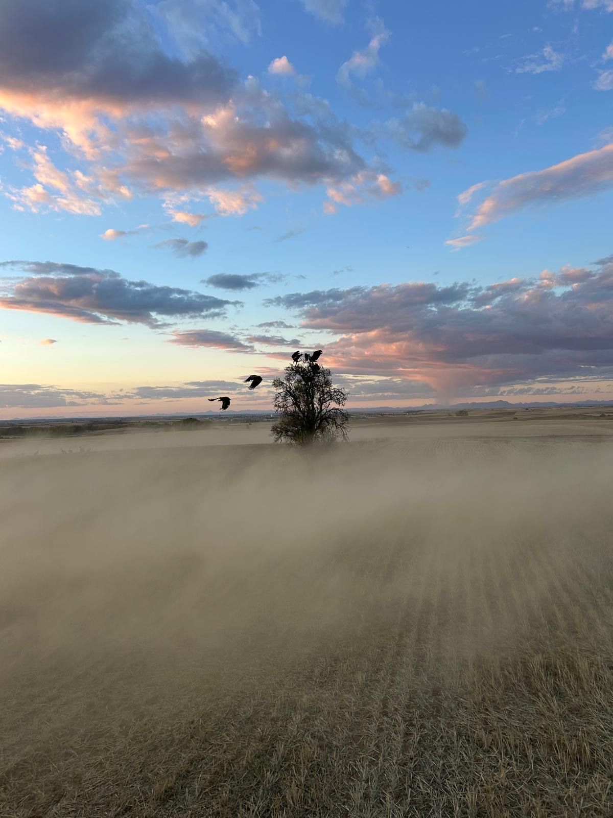 887e1f0b af8b 4c35 9a67 392b9323adb6