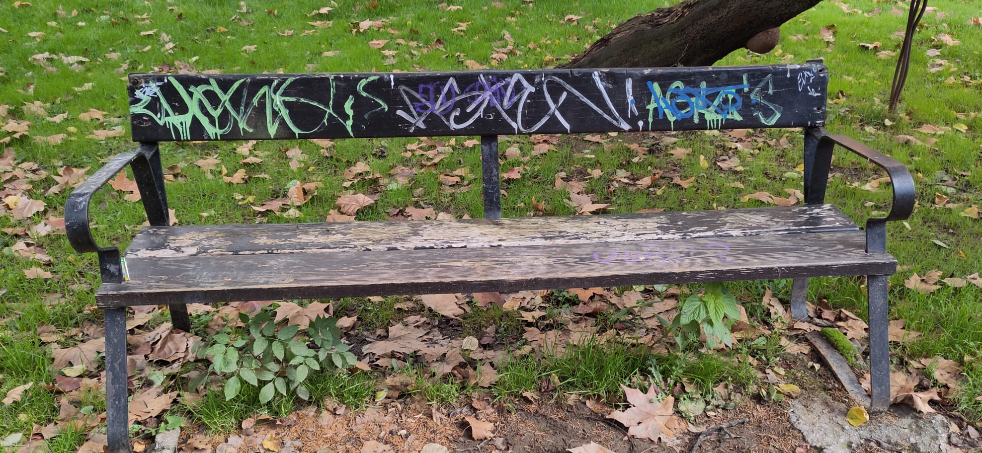 Estado de algunos de los bancos del parque del Plantío.