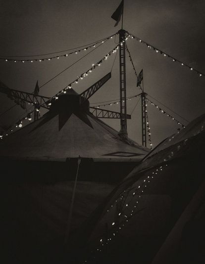 3º Premio. Estrellas humildes. De Virginia Morán de la Mata. 3º Premio. Estrellas humildes. De Virginia Morán de la Mata.