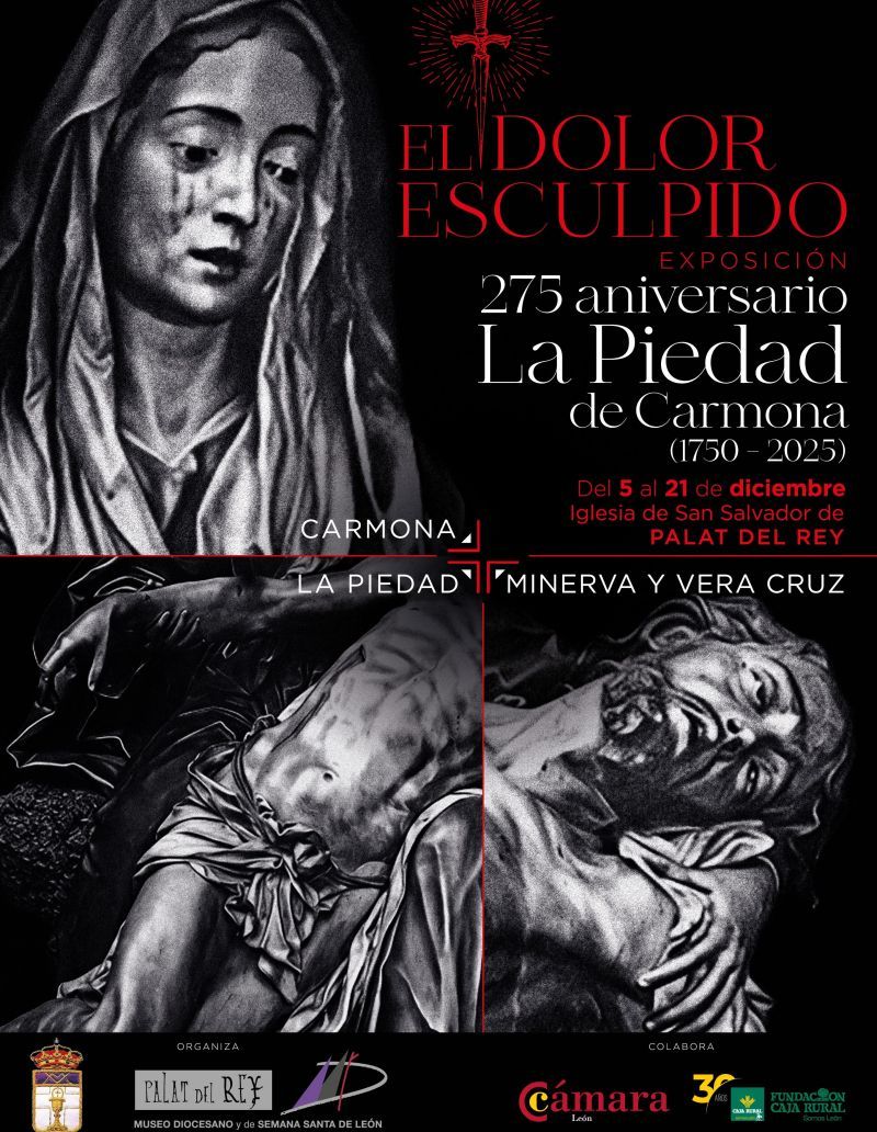 Cartel oficial de la muestra, 'El dolor esculpido'.