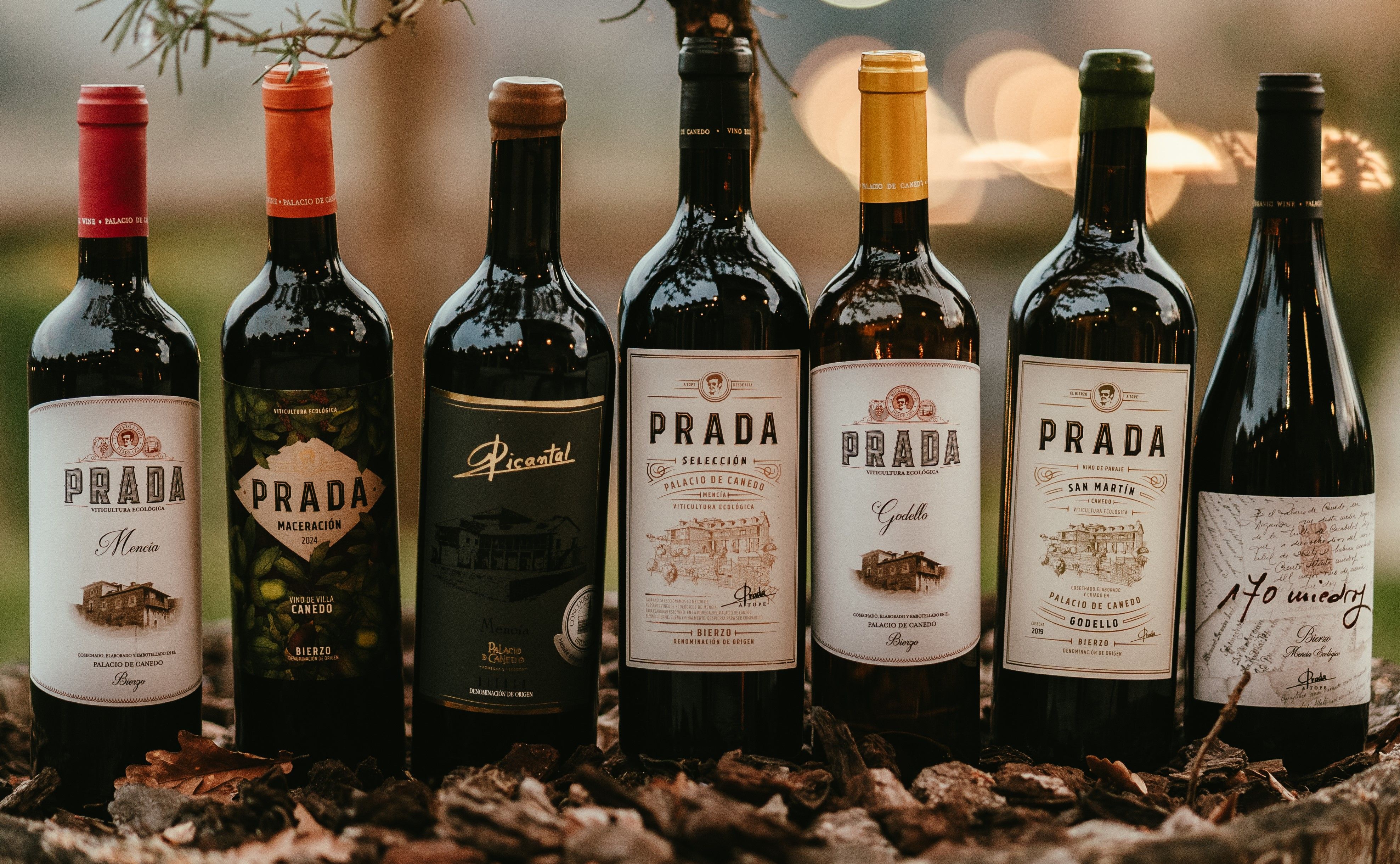 Catálogo de algunos de los vinos de Prada.