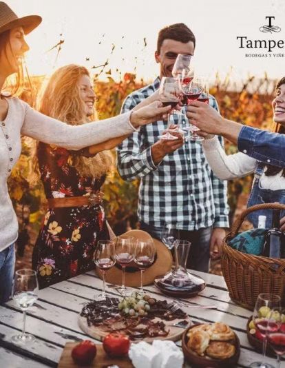 Recorrer los viñedos, conocer los métodos de elaboración y degustar sus vinos.