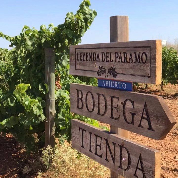 Una bodega moderna, sostenible y reconocida.| LEYENDA DEL PÁRAMO