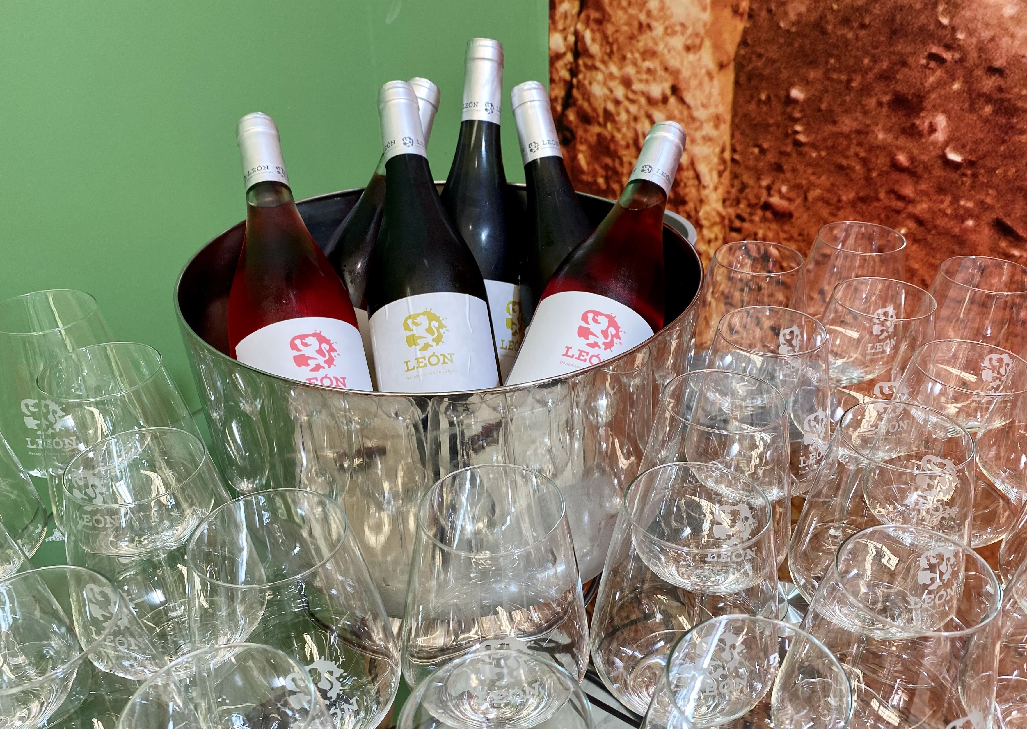 Vinos de la DO León de sus distintas variedades.