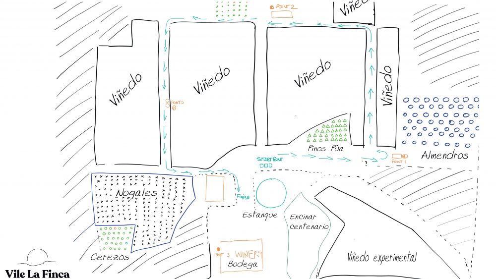 Imagen Croquis plantaciones Vile La Finca page 0001 (1)