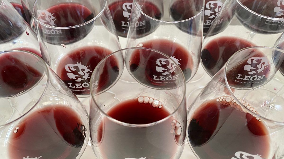 Copas de vino de la DO León preparadas para una cata.