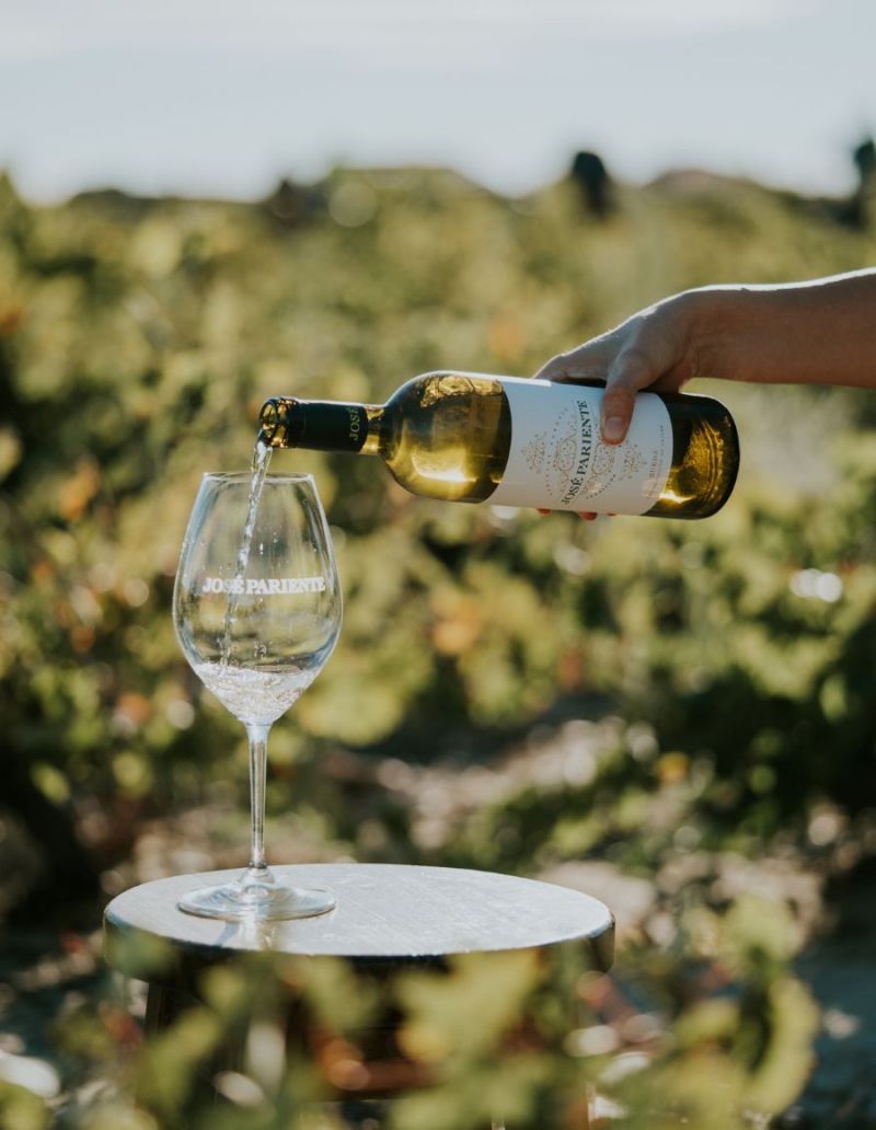 Vinos elegantes, complejos y con una identidad clara y reconocible. BODEGAS JOSE PARIENTE