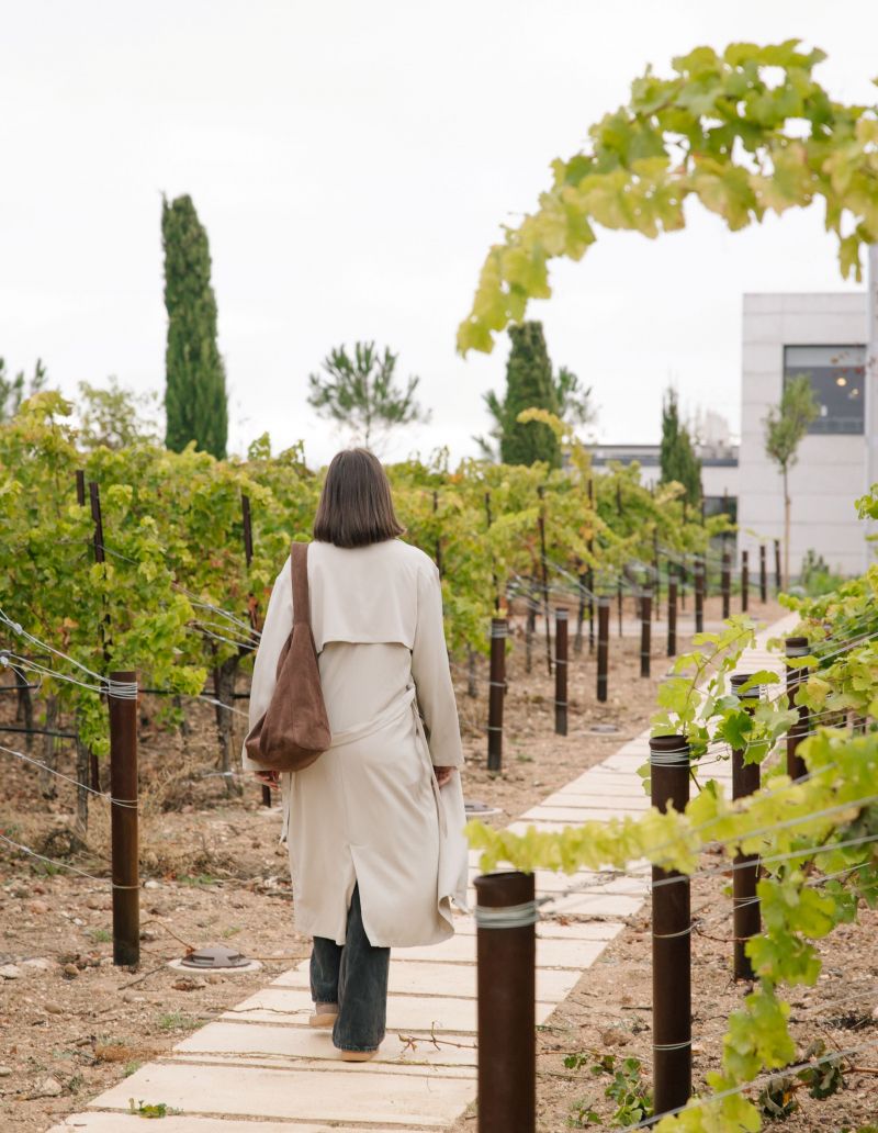 la Experiencia Puro Verdejo invita a pasear por los viñedos. BODEGAS JOSE PARIENTE