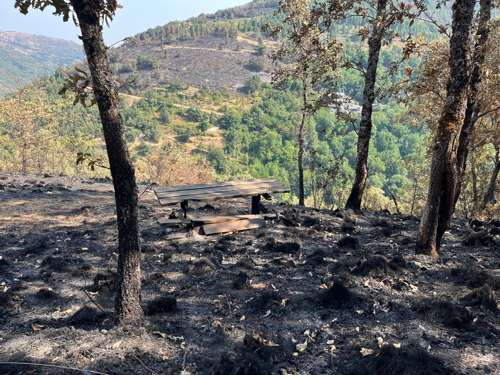 Estado en el que los fuegos dejaron la reserva.