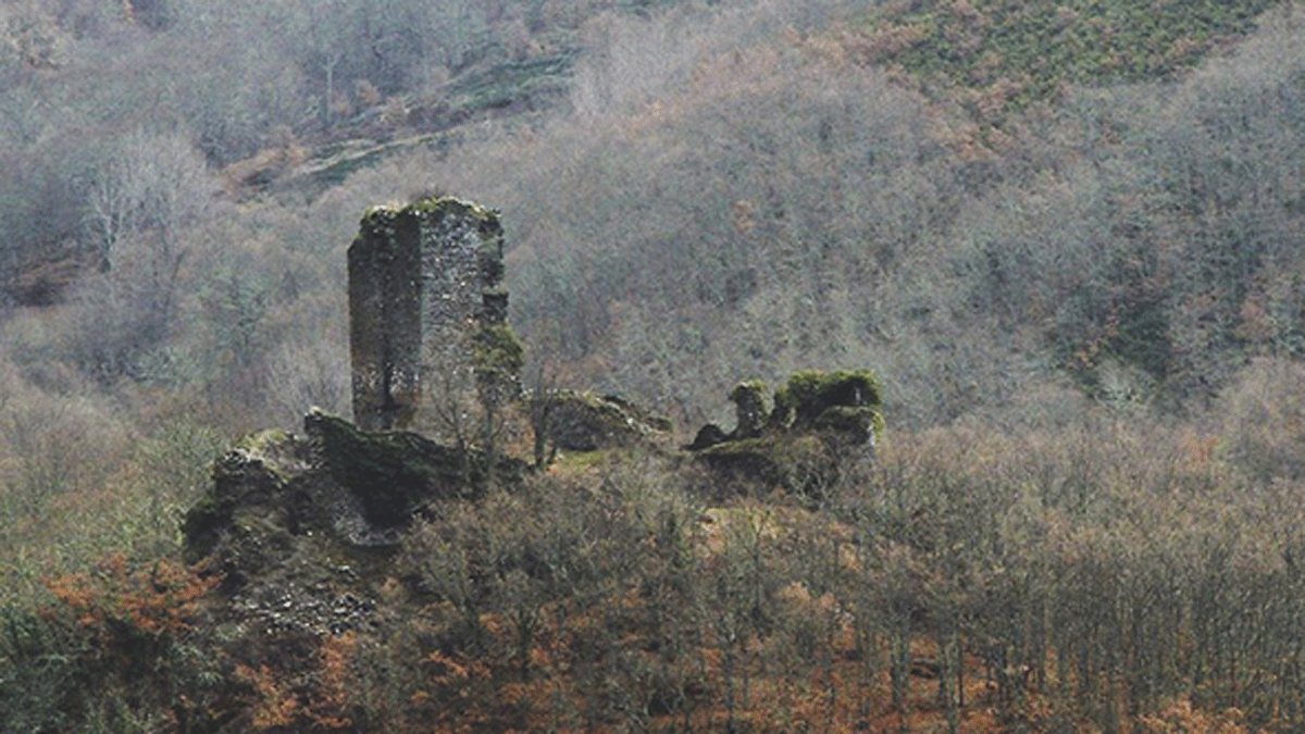 El Castillo es Bien protegido desde 1949, aunque su estado es ruinoso y peligroso para los posibles visitantes. | L.N.C.
