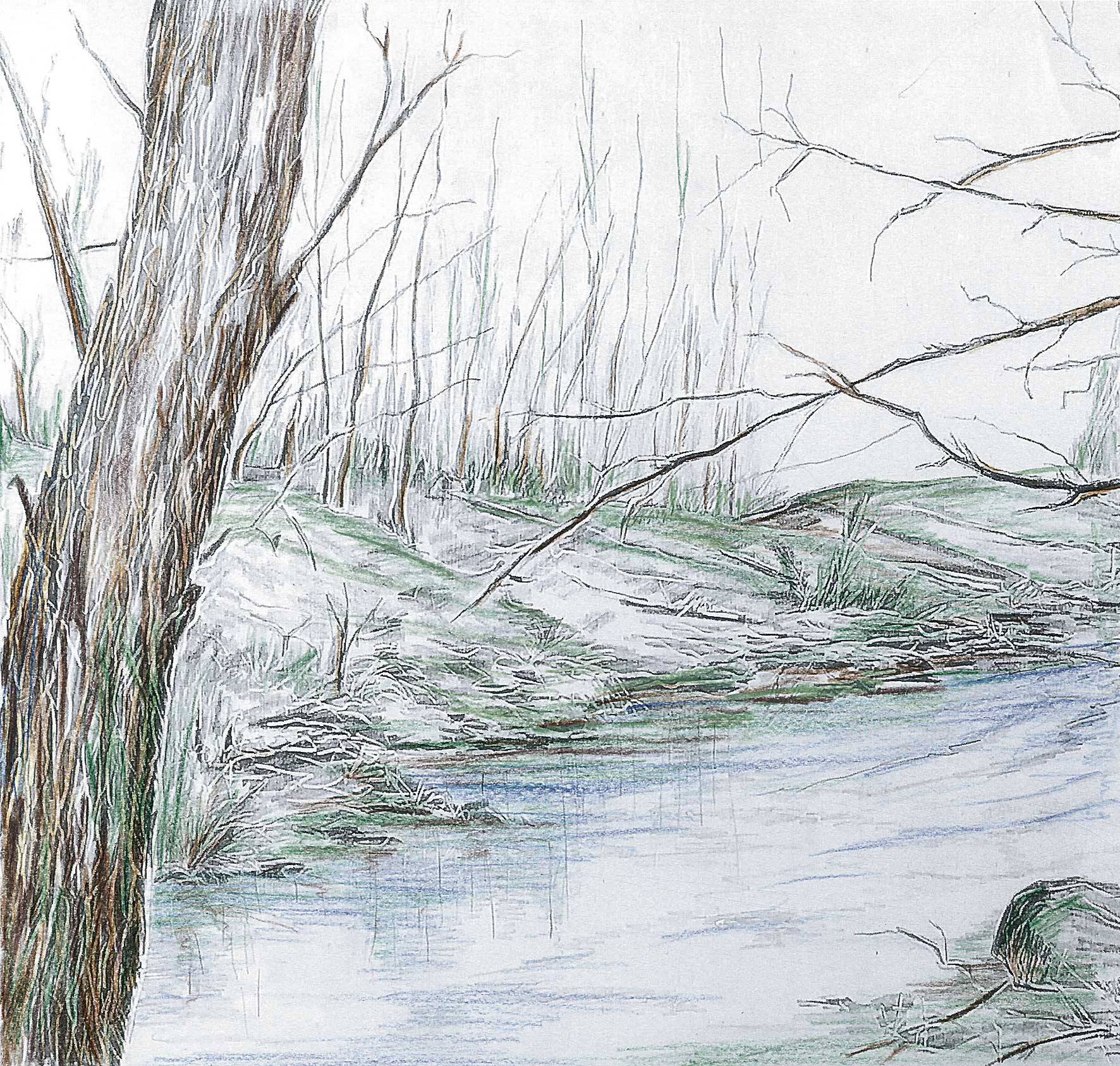 PARA, SIENTE, RESPIRA