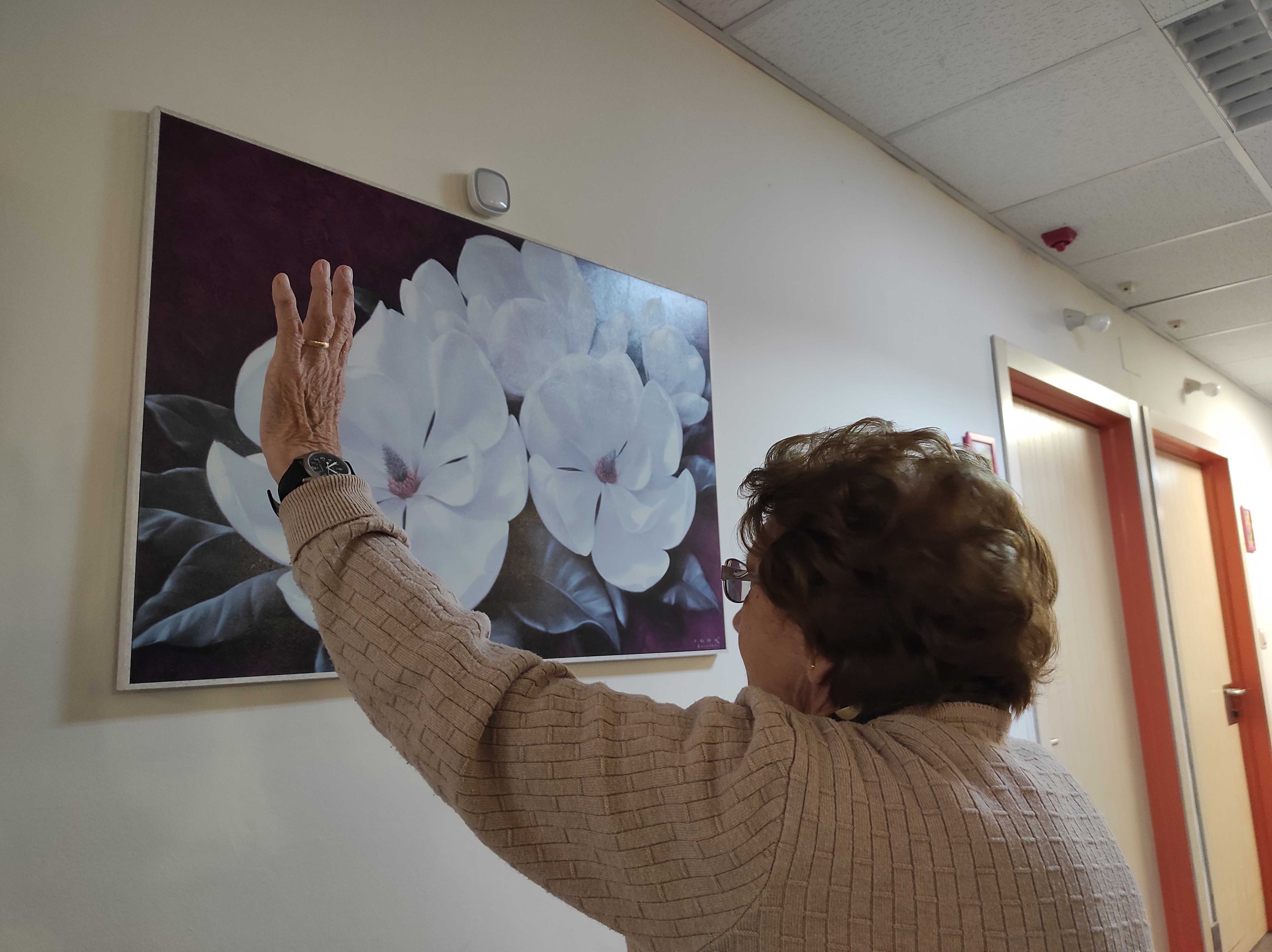 Un imagen del proyecto Vidalia impulsado en la residencia de mayores de Valdelafuente por Tercera Actividad. | L.N.C.