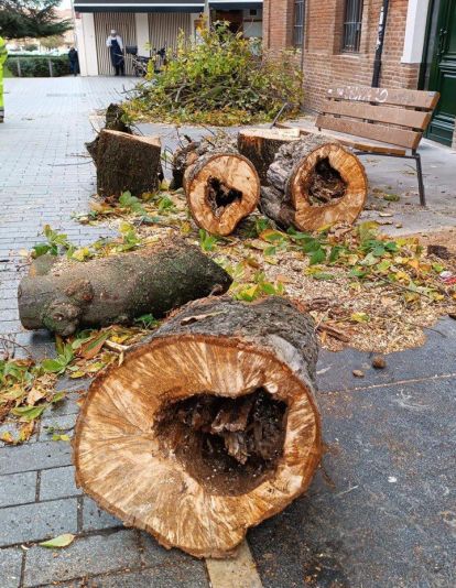 WhatsApp Image 2025 12 04 at 12.38.33