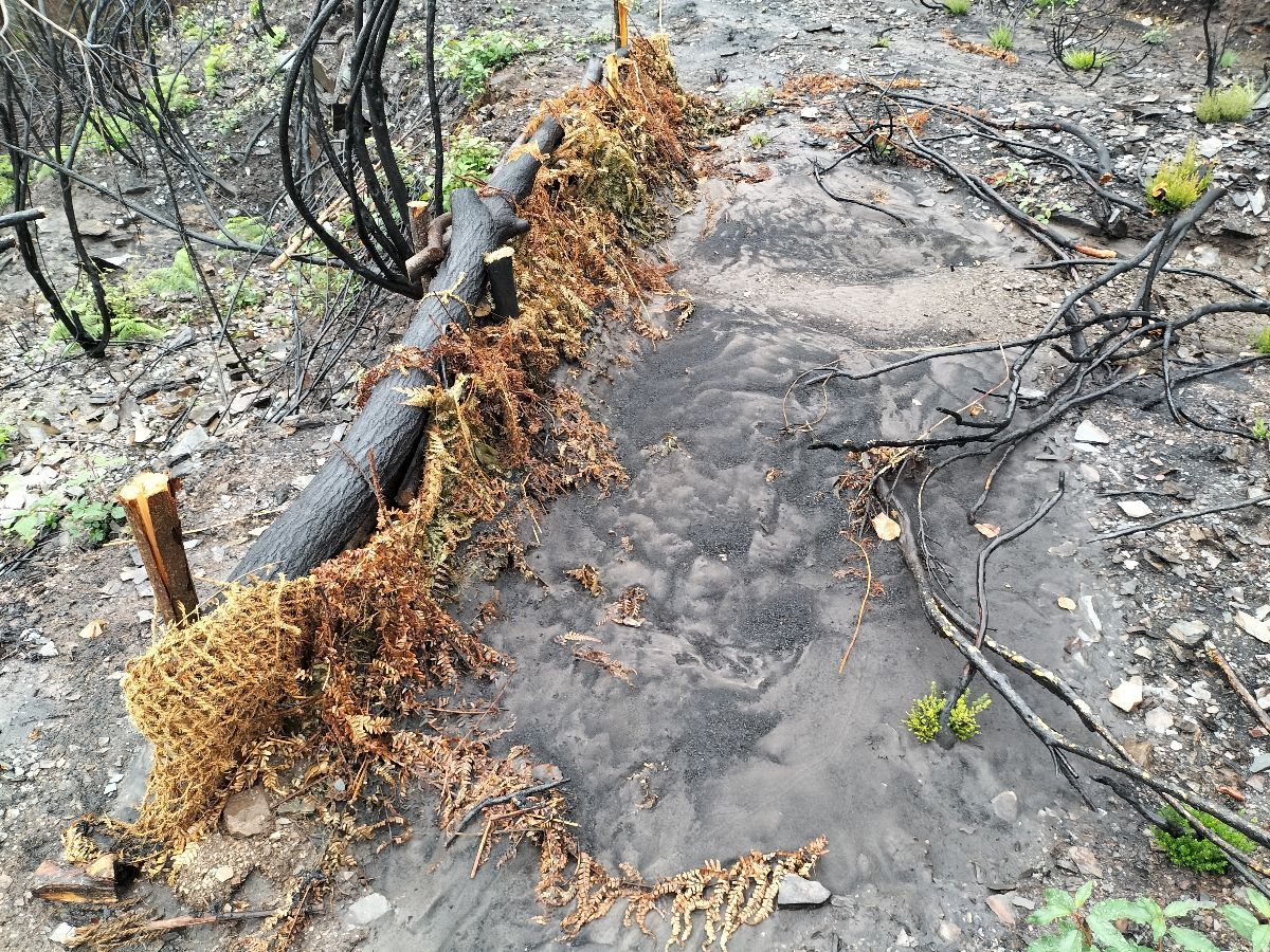 Trabajos ante los incendios efectuados por la CHMS.