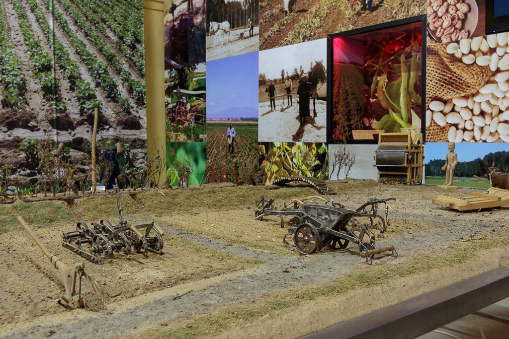 Vista del ‘Museo de la Alubia’, ubicada en La Bañeza. | L.N.C.