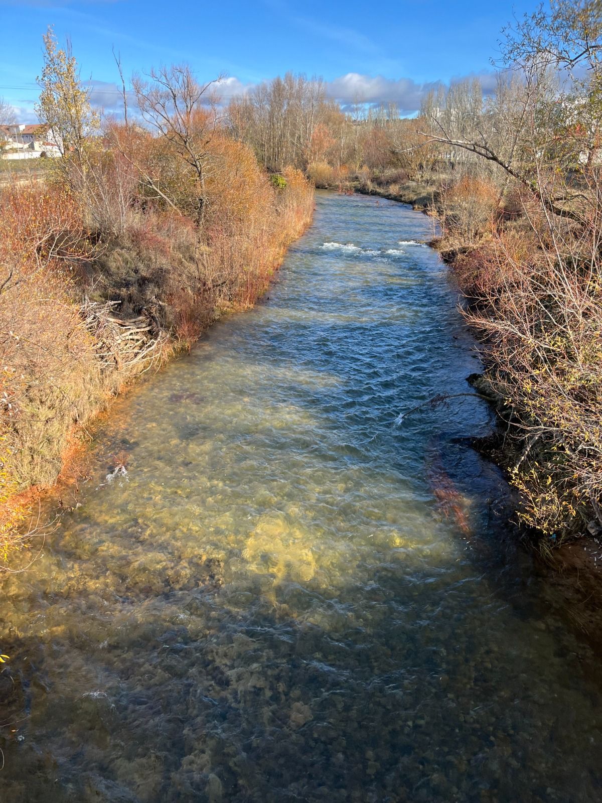 Río Torío en su paso por León. RPN