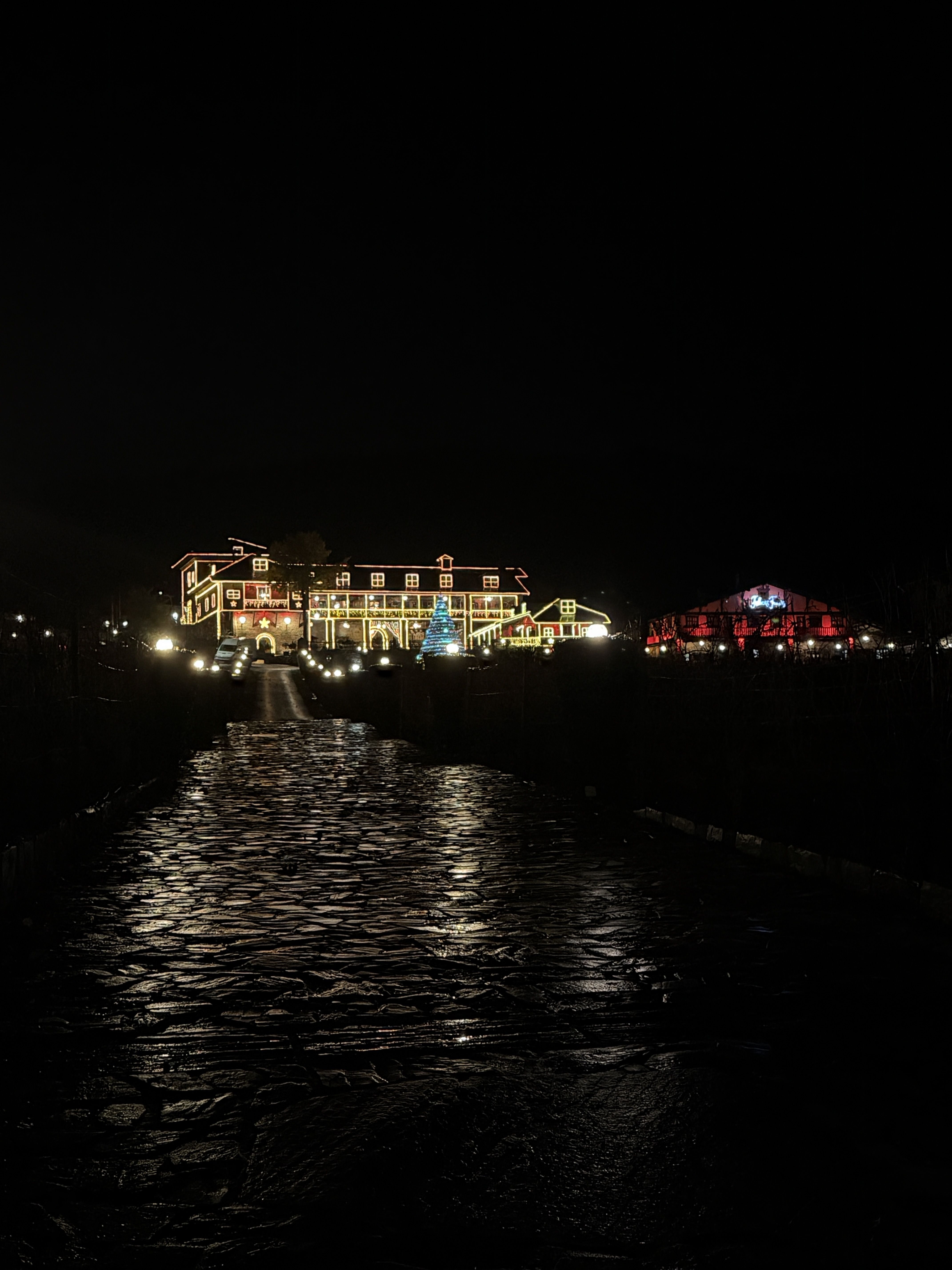 Encendido de luces en el Palacio de Canedo.