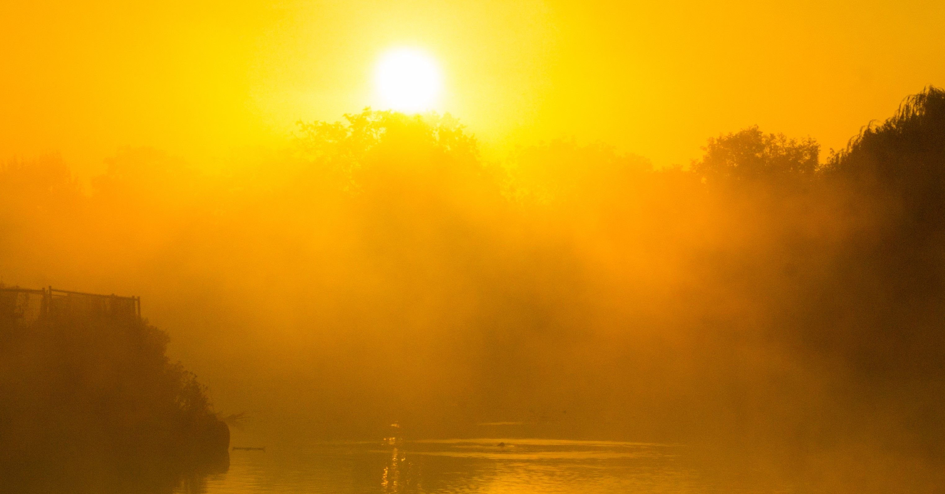 Un amanecer amarillo en el que se deja ver la niebla despertando. Un amanecer amarillo en el que se deja ver la niebla despertando.