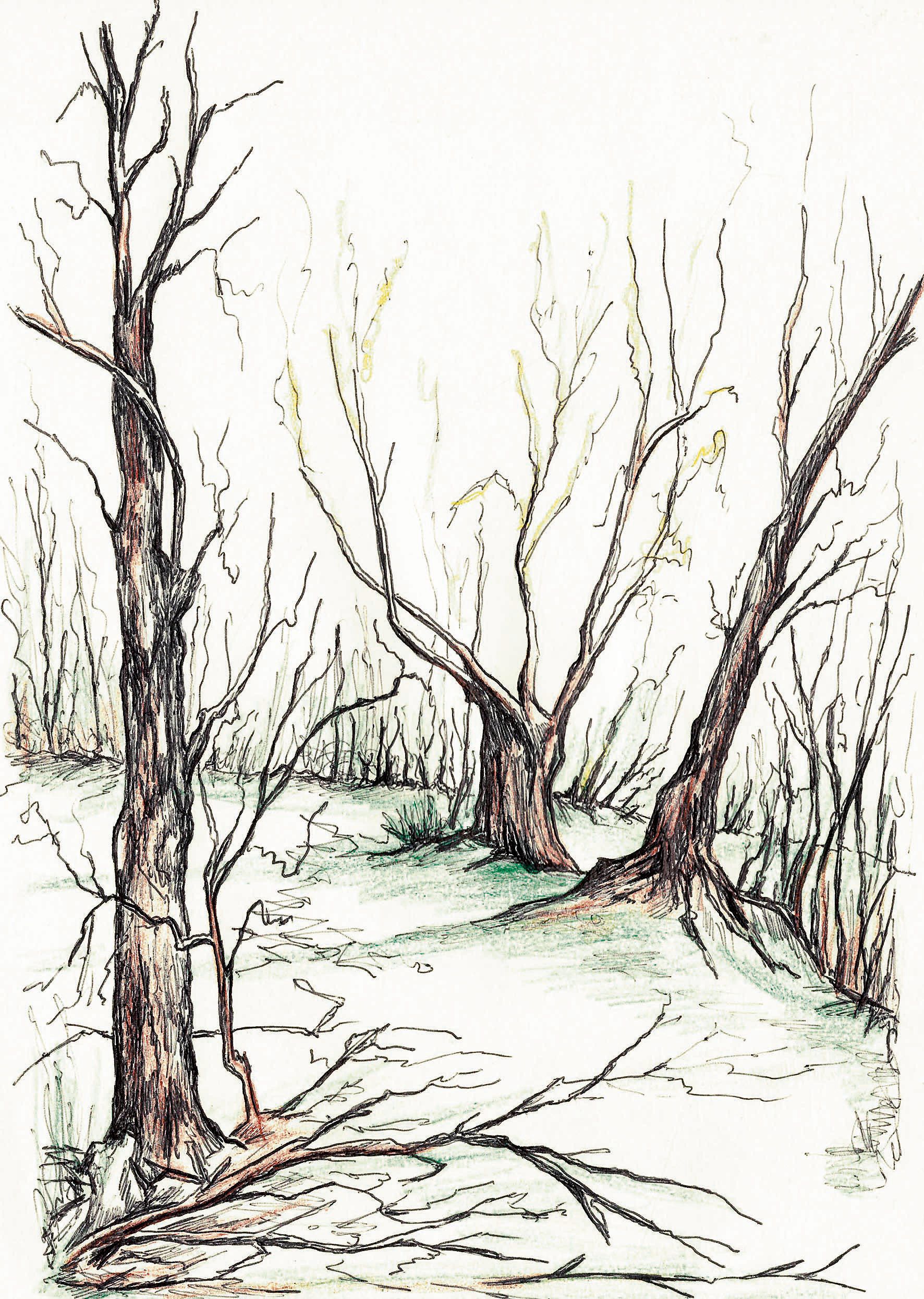 Senderos de inspiración. 