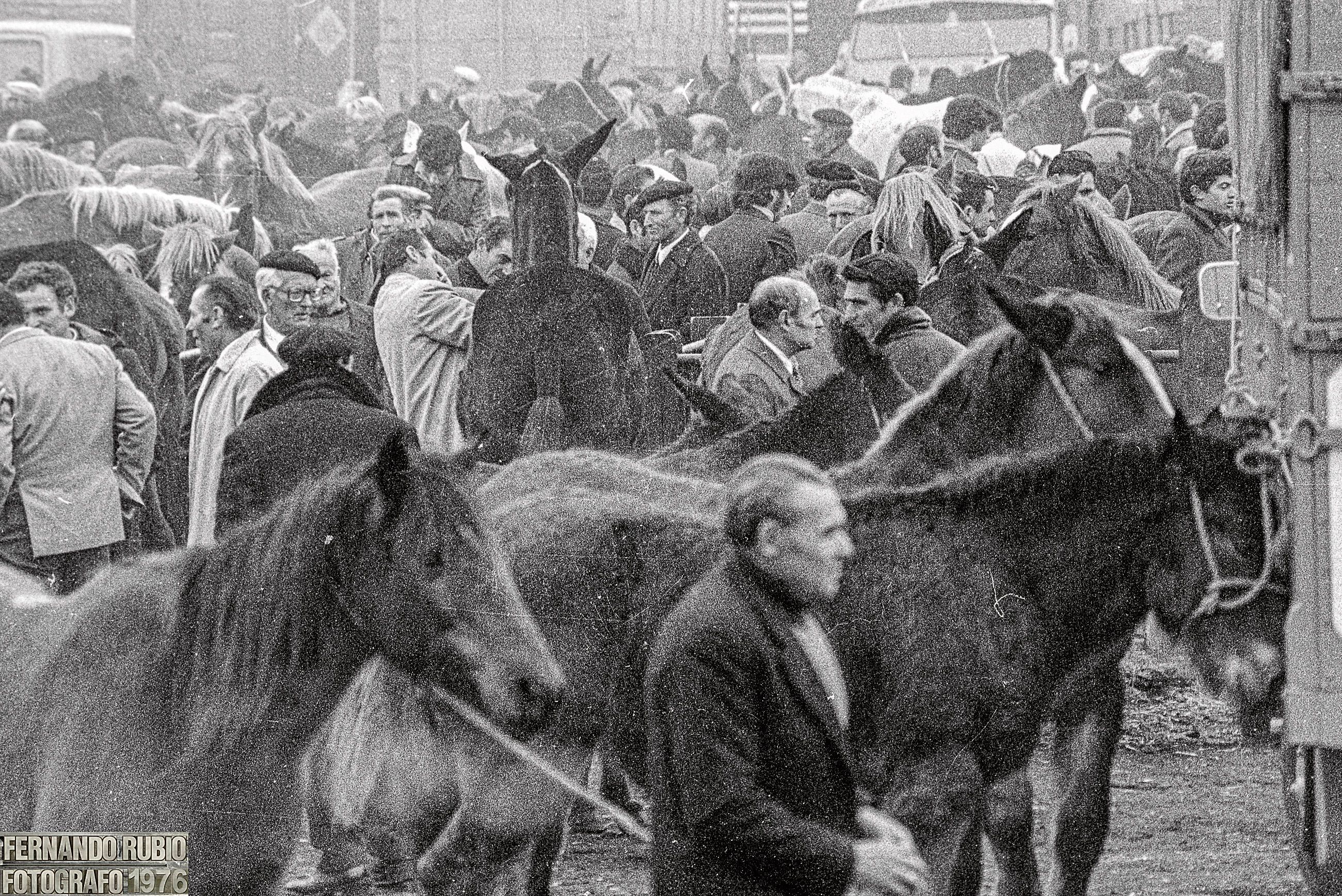 En los años 70 del pasado siglo, la imagen es de 1976, la afluencia de ganado a la feria de San Andrés en León era todavía muy elevada. | FERNANDO RUBIO
