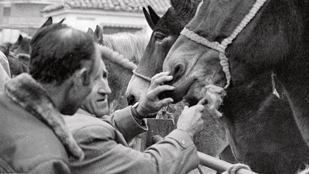 Imagen Feria San Andres 1976analiz Imagen Feria San Andres 1976analiz