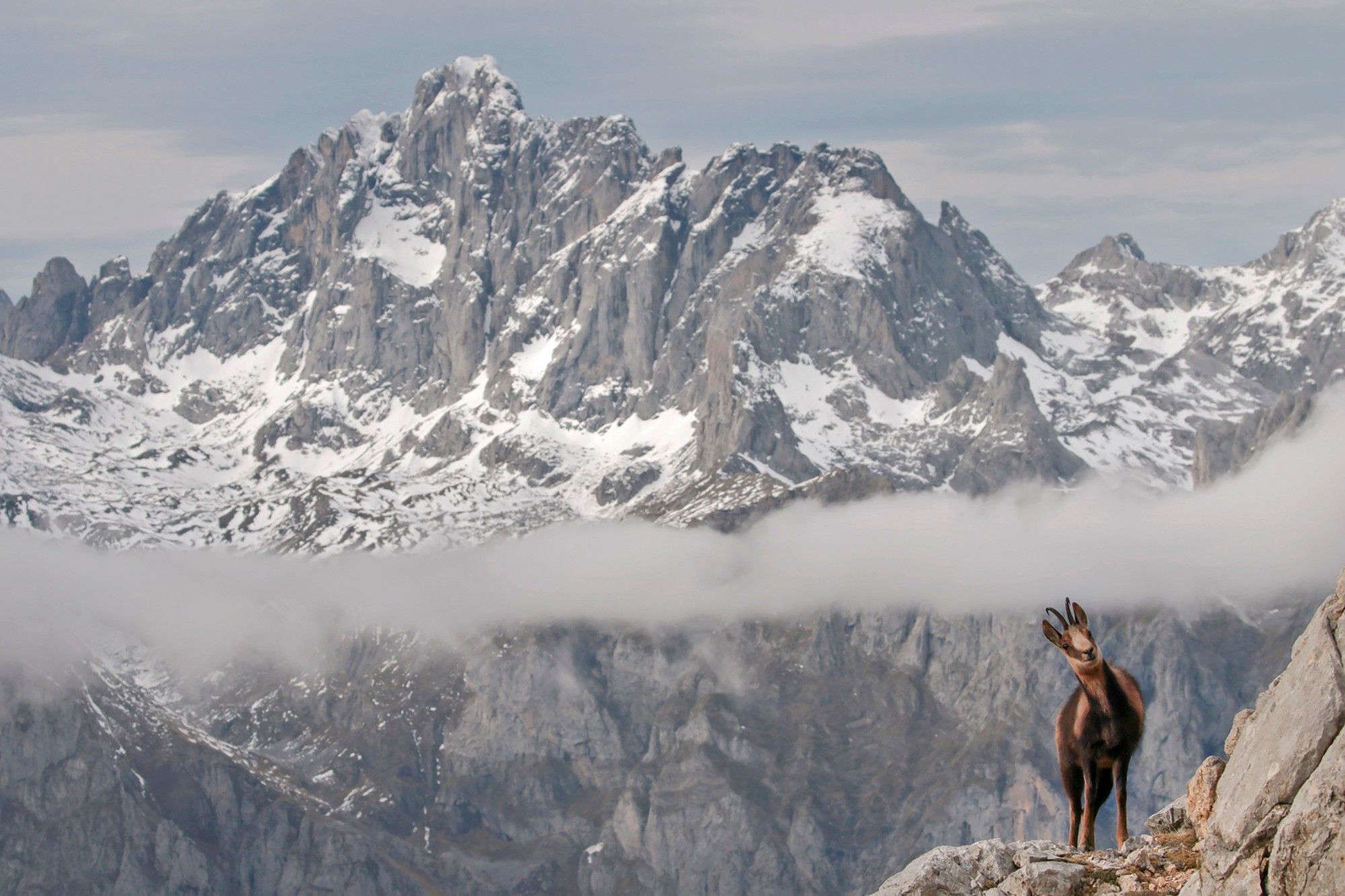 En la fotografía, vista de uno de los macizos del Parque Nacional de Picos de Europa. |TURISMO CyL