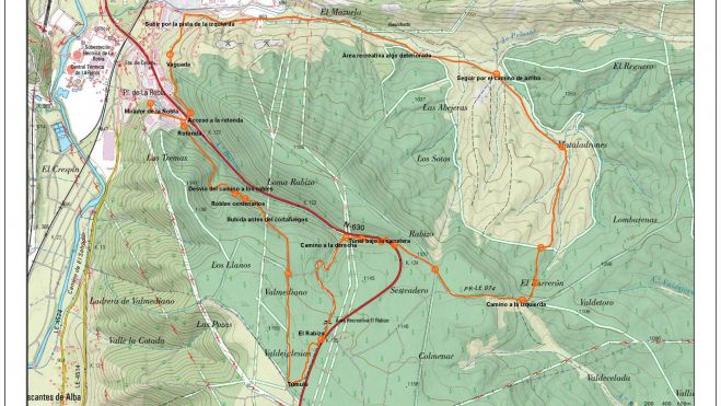 La Robla robles centenarios