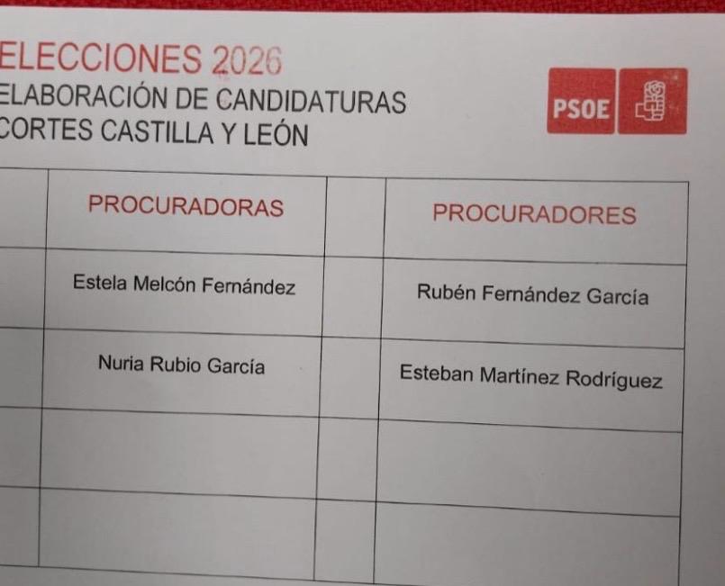 Papeleta para la votación celebrada este jueves en la asamblea de la Agrupación Local del PSOE de León. | LNC