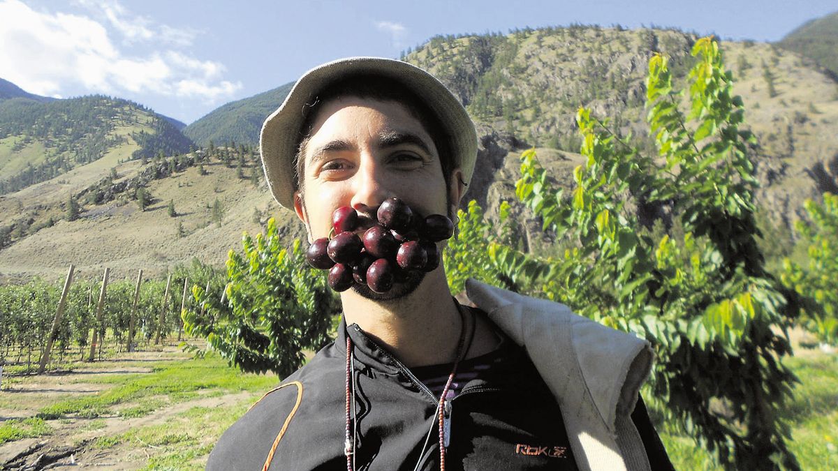 Álvaro García, de Villademor de la Vega, es un trabajador temporero que se trasladó a Canadá para la recolecta de cerezas en una finca de Canadá. | L.N.C.