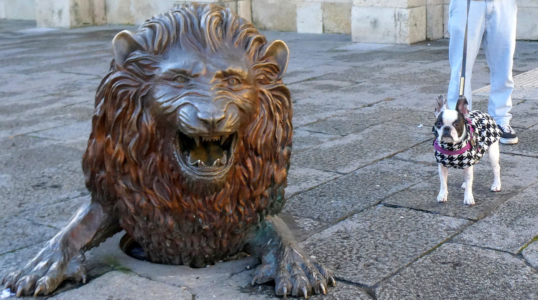 León de la alcantarilla de San Marcelo. | GREGORIO F. CASTAÑÓN León de la alcantarilla de San Marcelo. | GREGORIO F. CASTAÑÓN